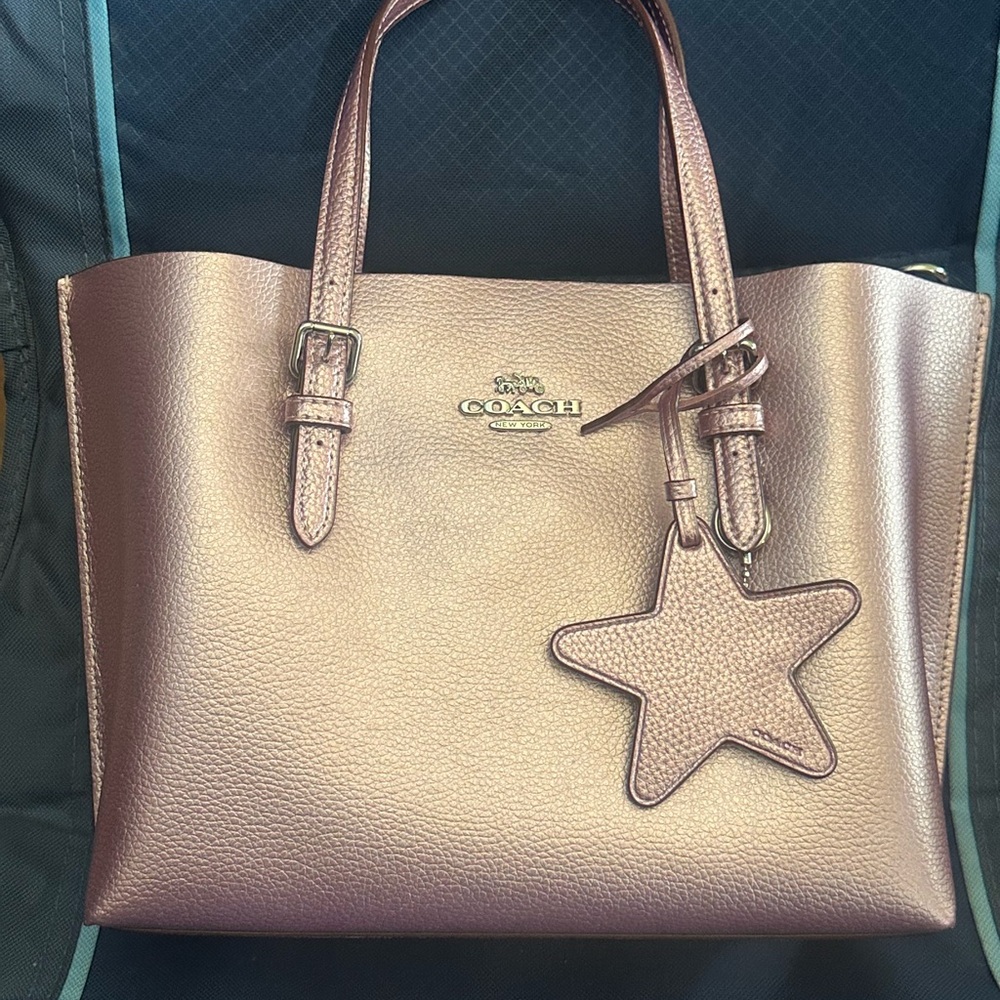 Shimmery Pink Coach